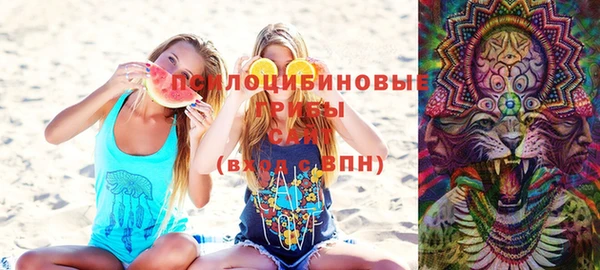 дживик Новодвинск